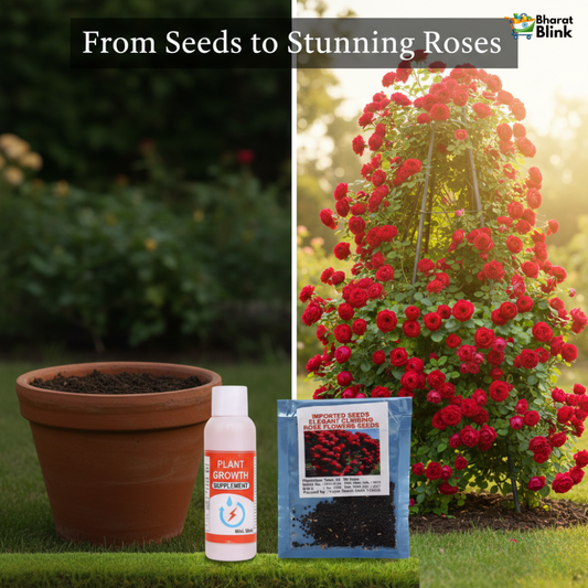 Elegant Climbing Rose Flower Seeds