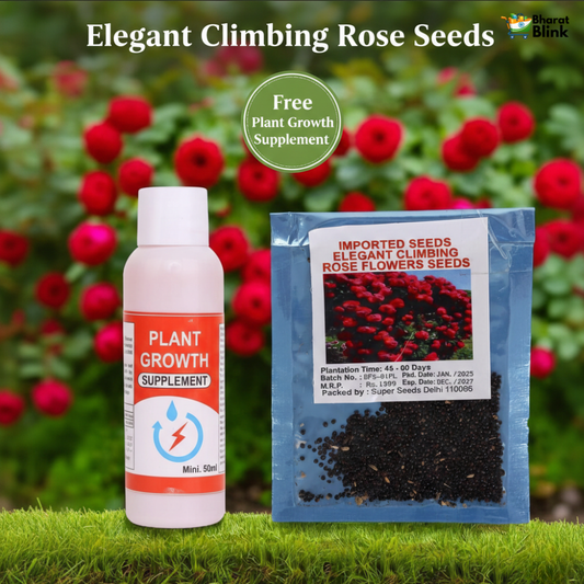 Elegant Climbing Rose Flower Seeds